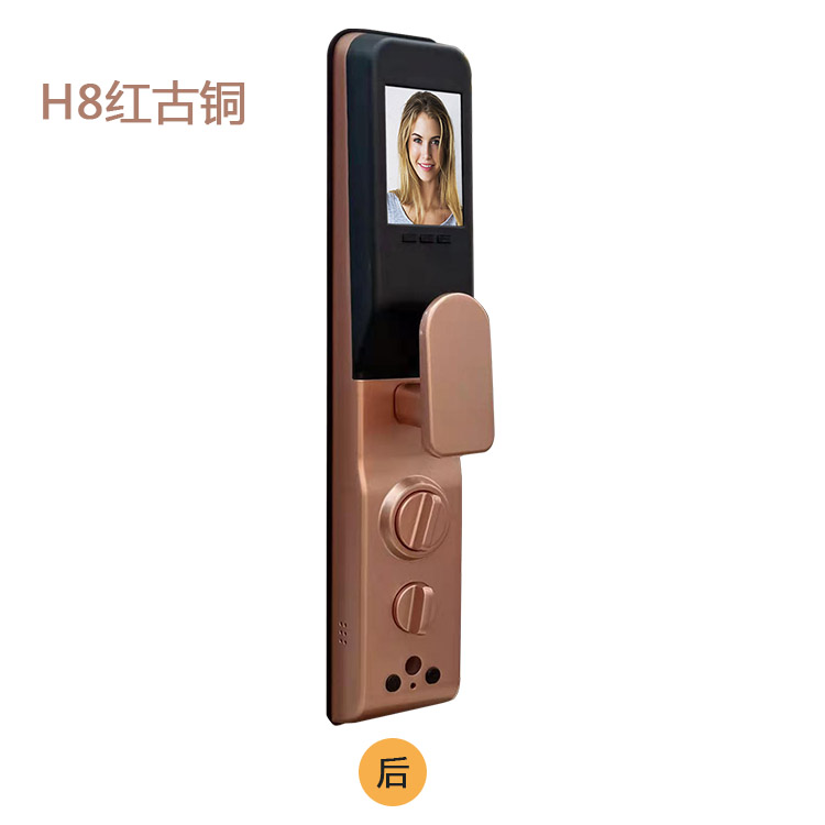 Fingerprint code lock H8 red bronze