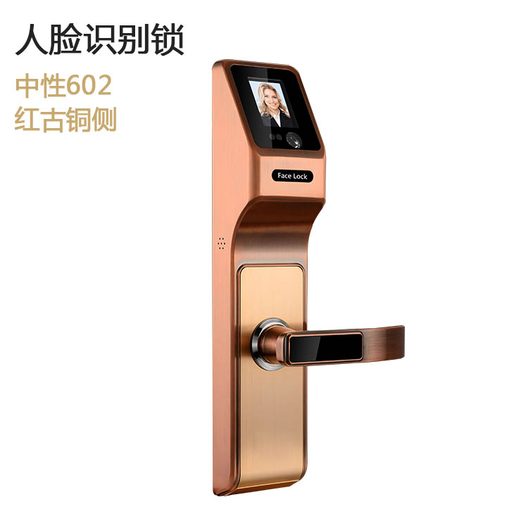 Fingerprint lock /face recognition-hr602